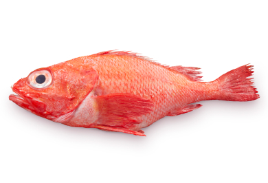 Line-Caught Kinki (Broadbanded Thornyhead)